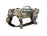 HARNAIS ONE - CAMO