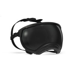 Lunettes pour chien REX...