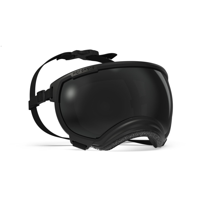 Lunettes pour chien REX SPECS V2