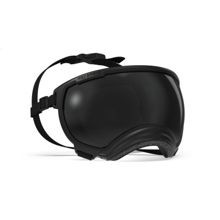 Lunettes pour chien REX SPECS V2